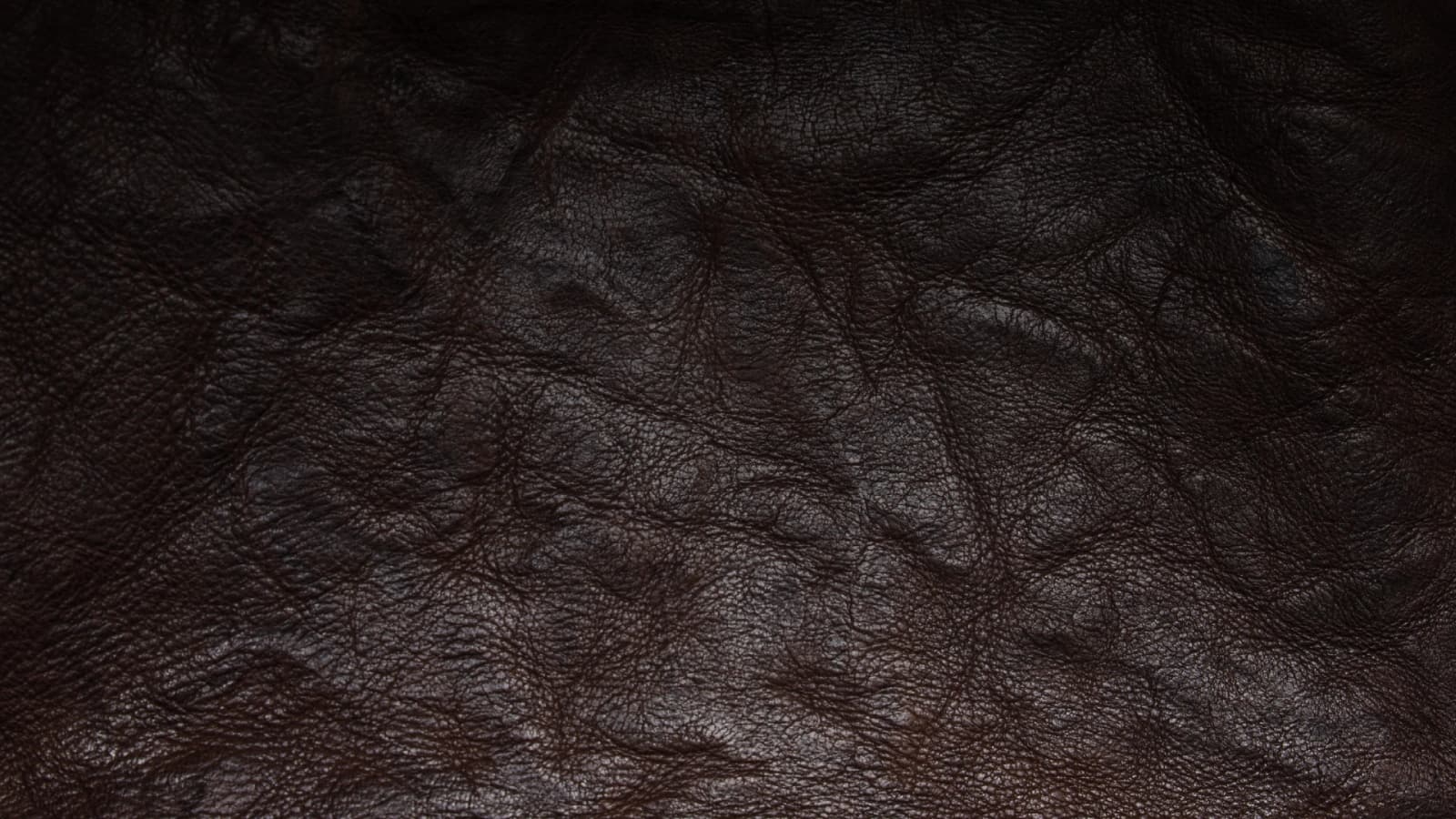 Leather Tide