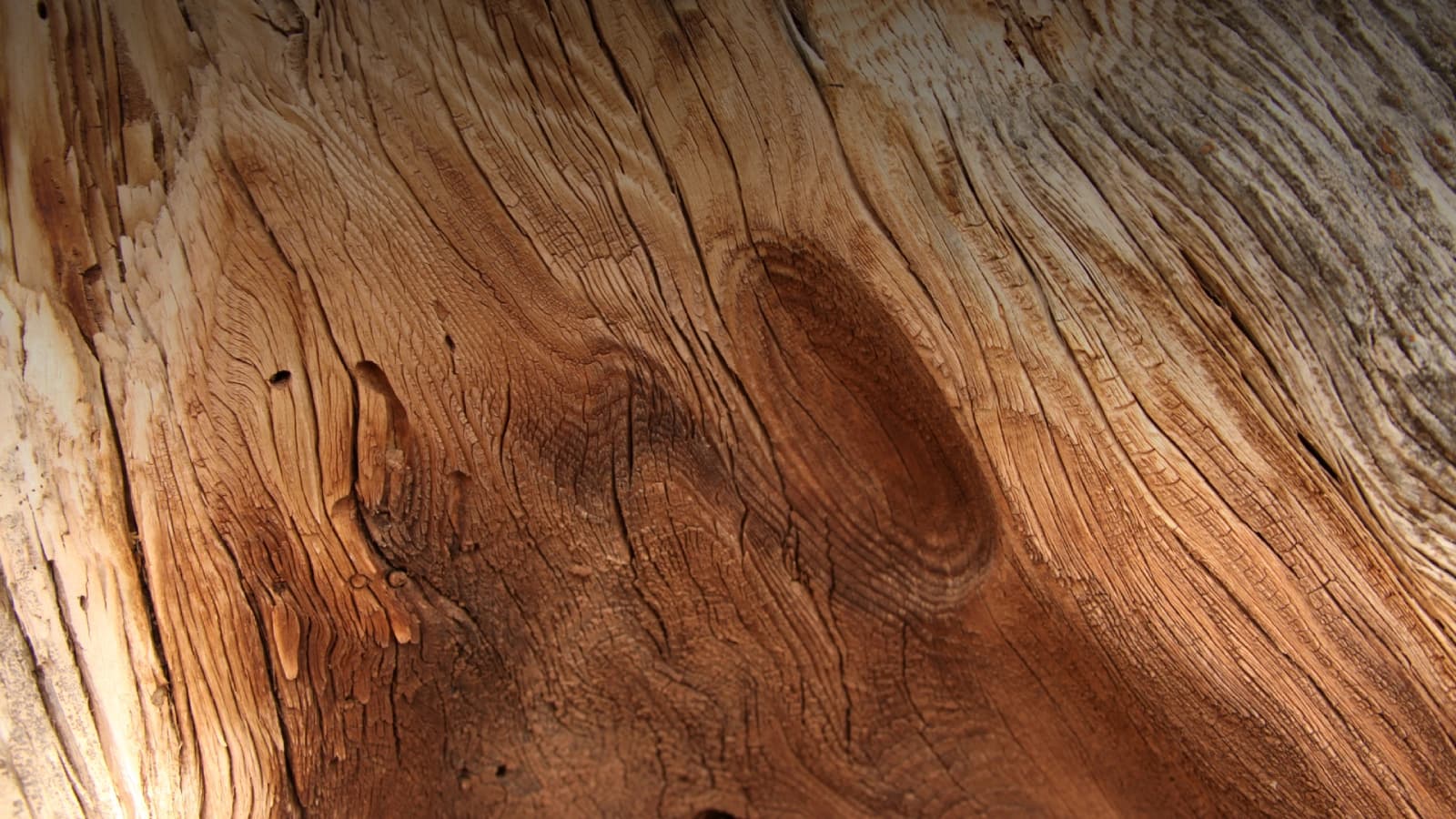 Cedar Fresh