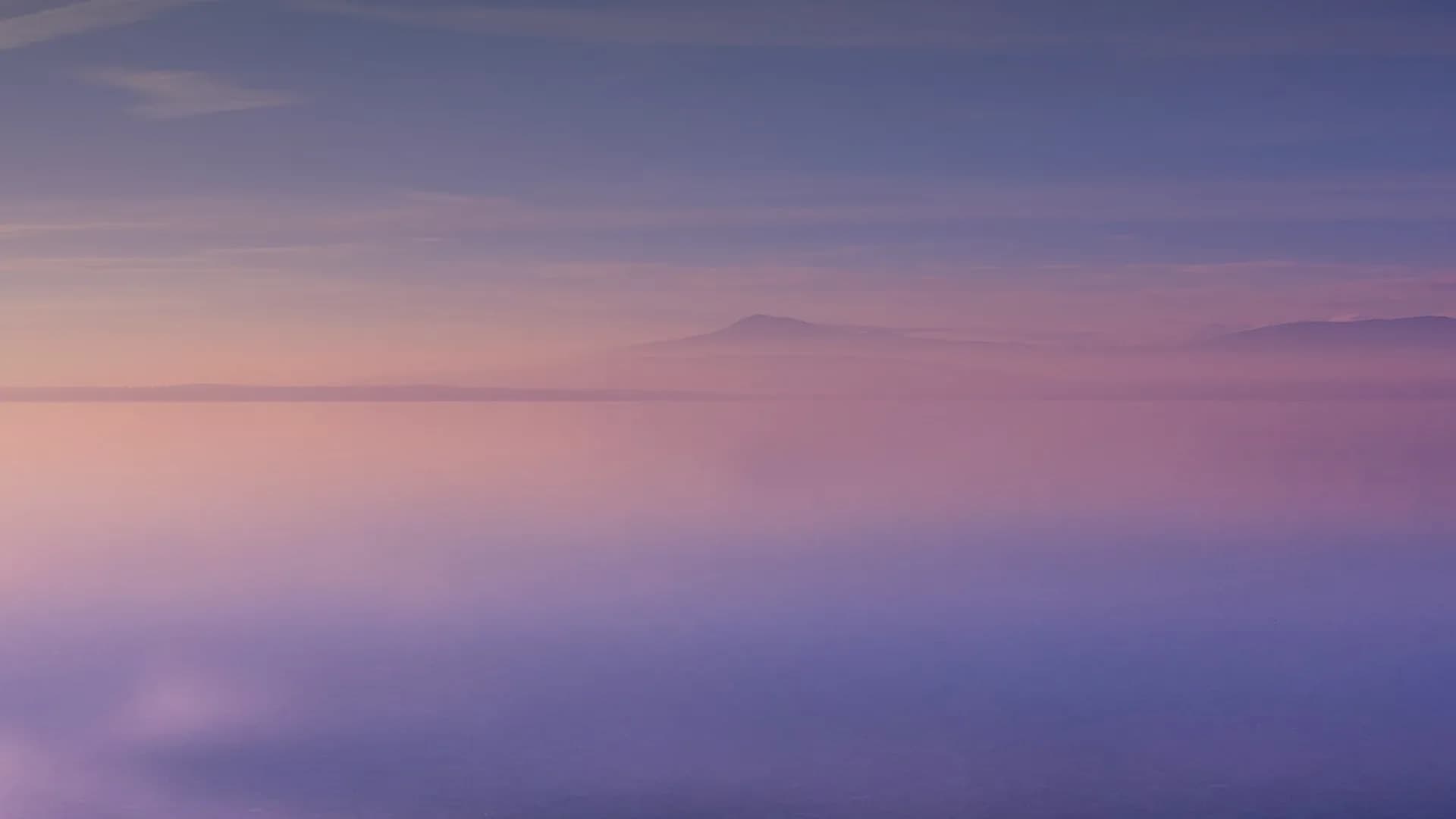 Lavender & Thyme