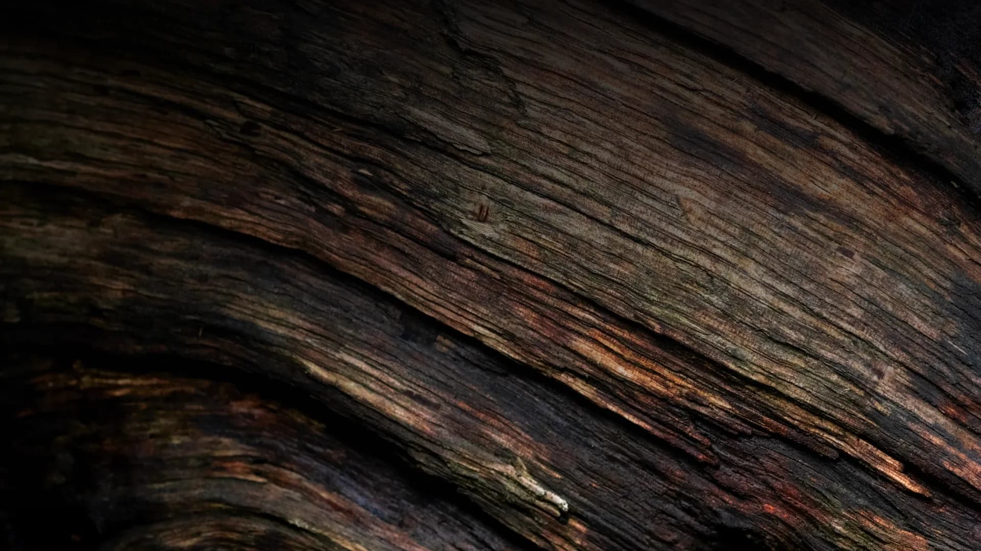 Teak & Mahogany